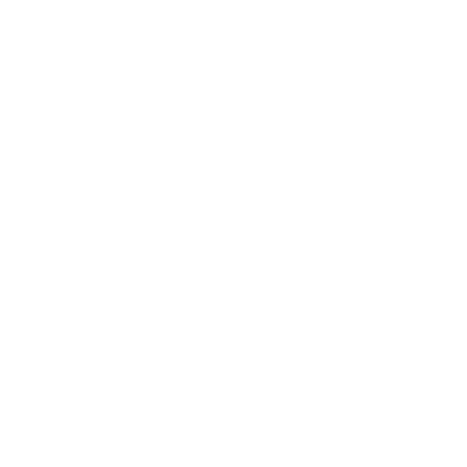 income tax return